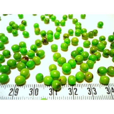 Toloman vert pomme