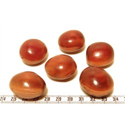 Oeil de bourrique marron clair poli