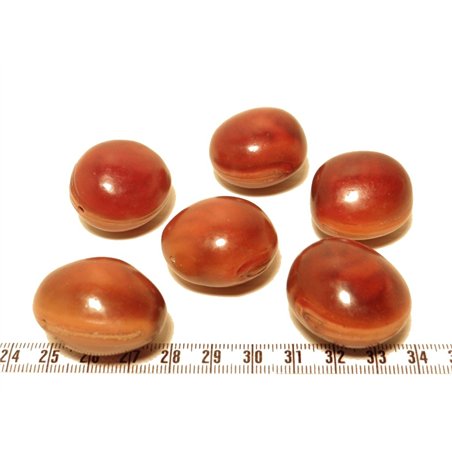 Oeil de bourrique marron clair poli