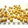 Coco perle 8mm blanc