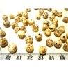 Palmier royal nain balle petite