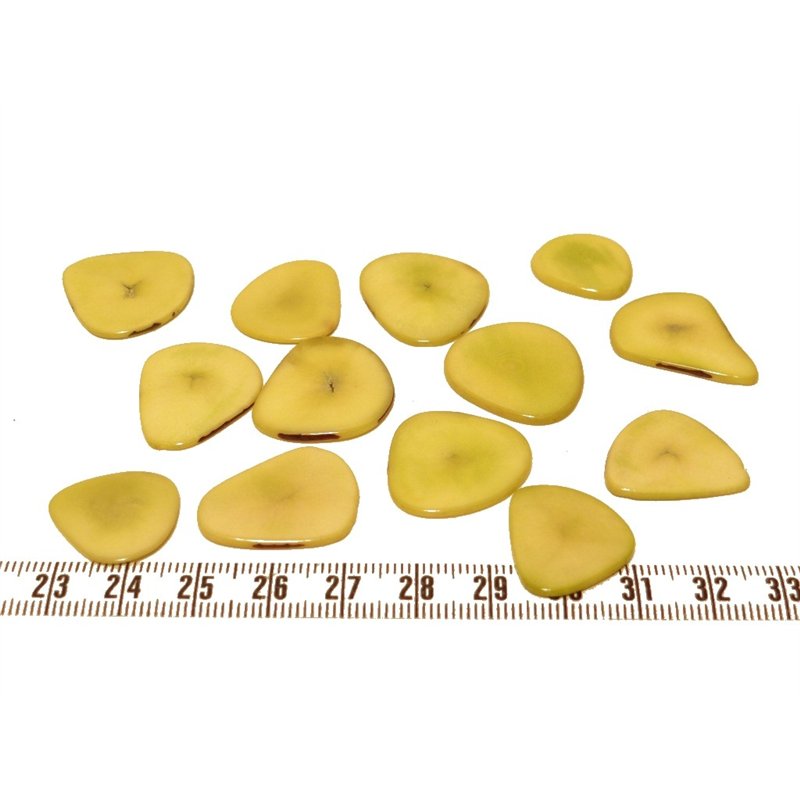 Tagua pétale  jaune
