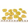 Tagua pétale  jaune
