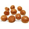 Tagua graine 4 cm  nature 