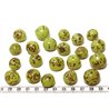 Paxi vert pomme