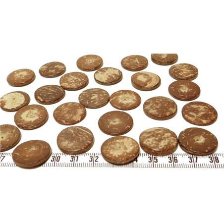 Coco disque 20mm marron