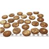 Coco disque 20mm marron