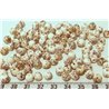 Palmier royal nain balle mini
