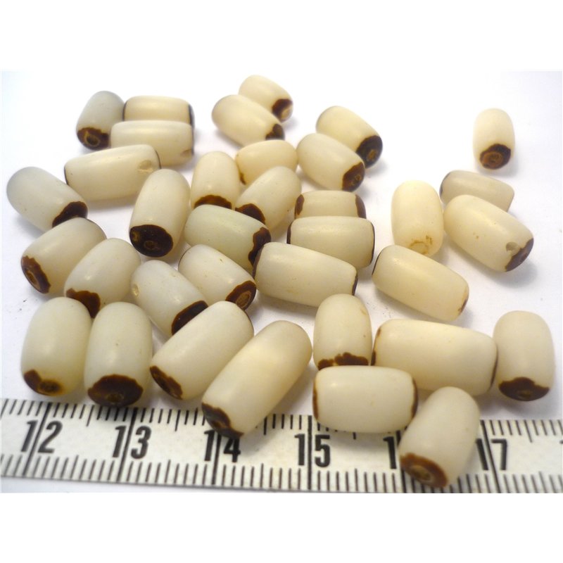 Buri tube