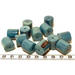 Tagua cylindre bleu
