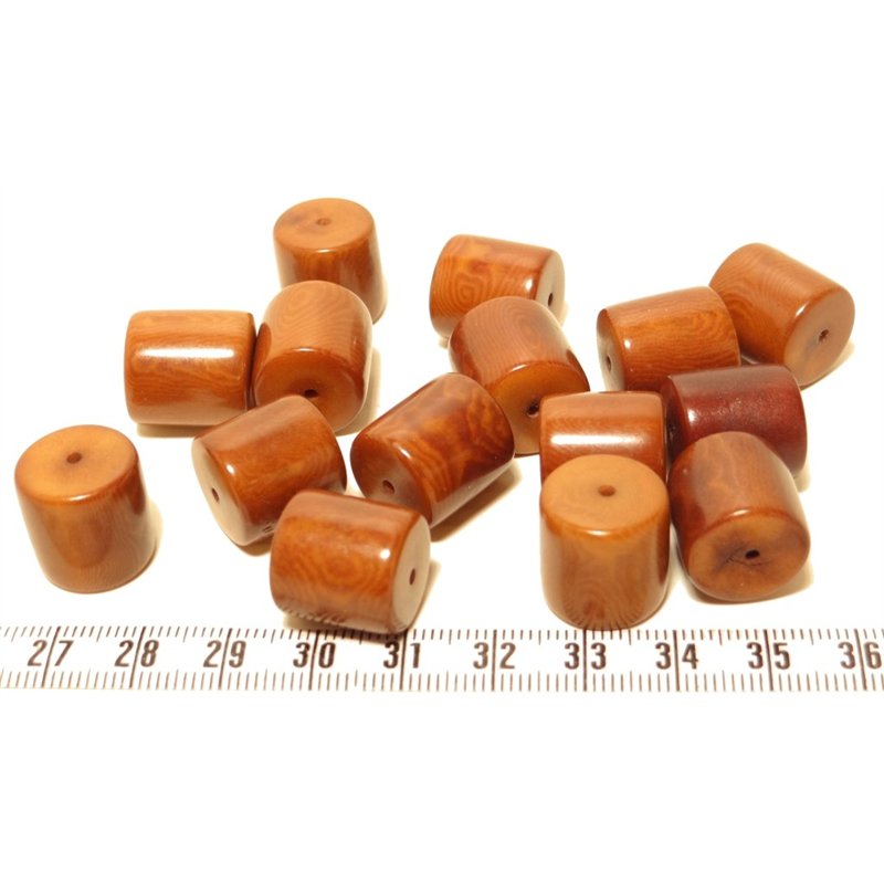 Tagua cylindre marron