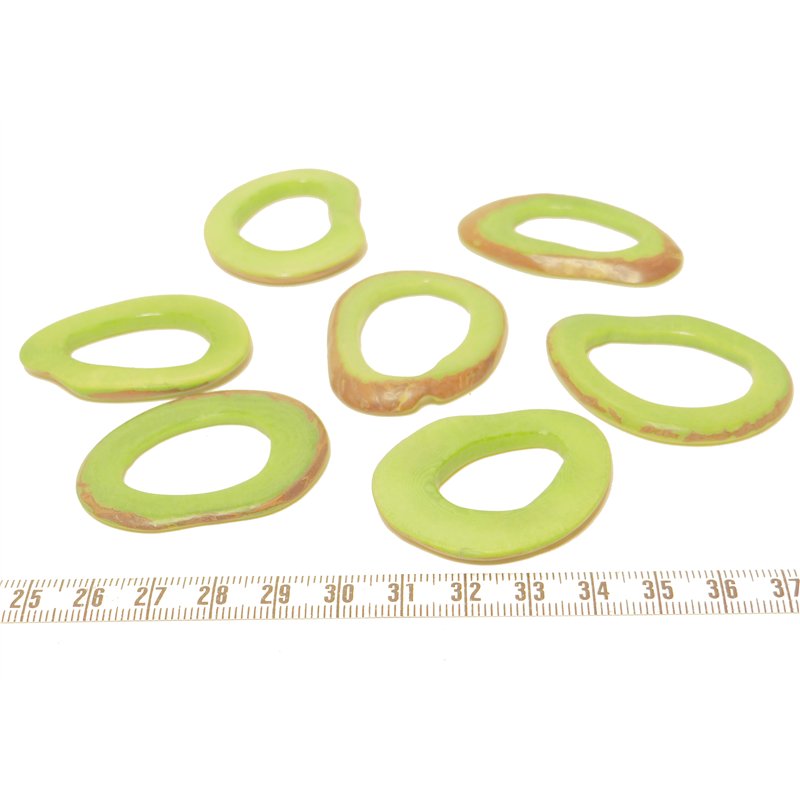 Tagua donut vert