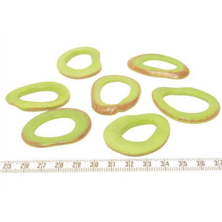 Tagua donut vert