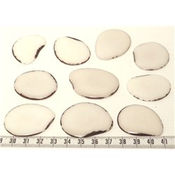 Tagua lame  grande blanc