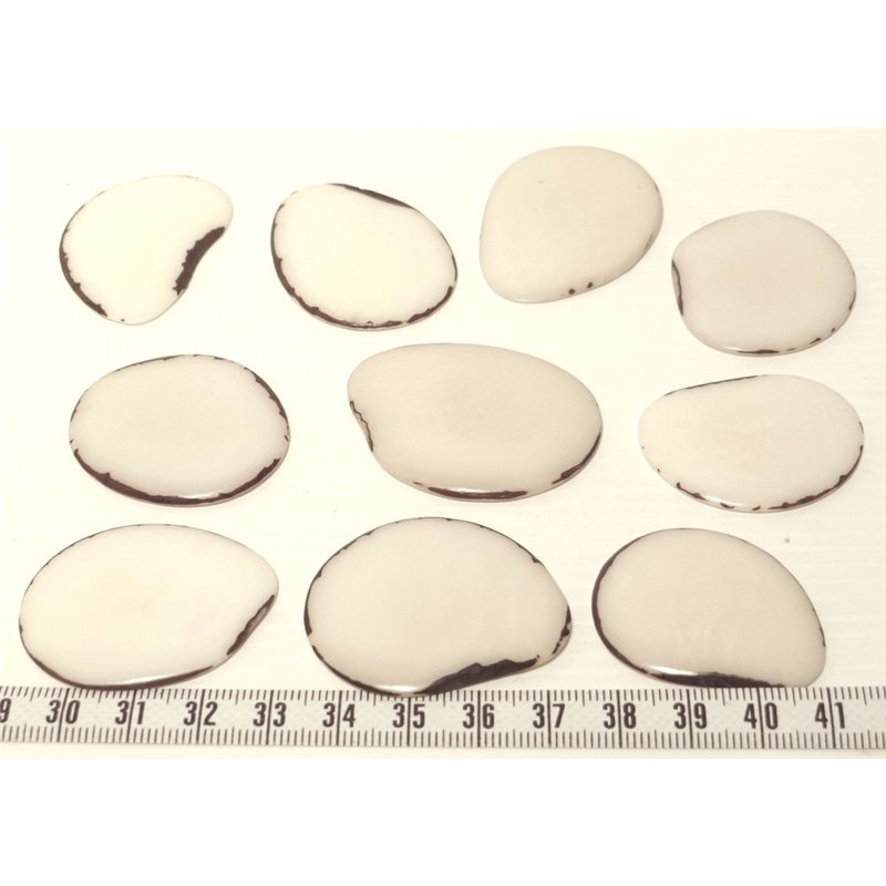 Tagua lame grande blanc x1