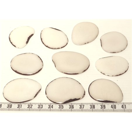 Tagua lame grande blanc x1
