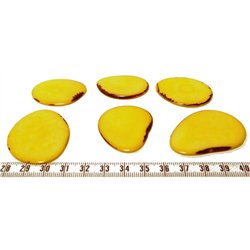 Tagua lame  grande jaune