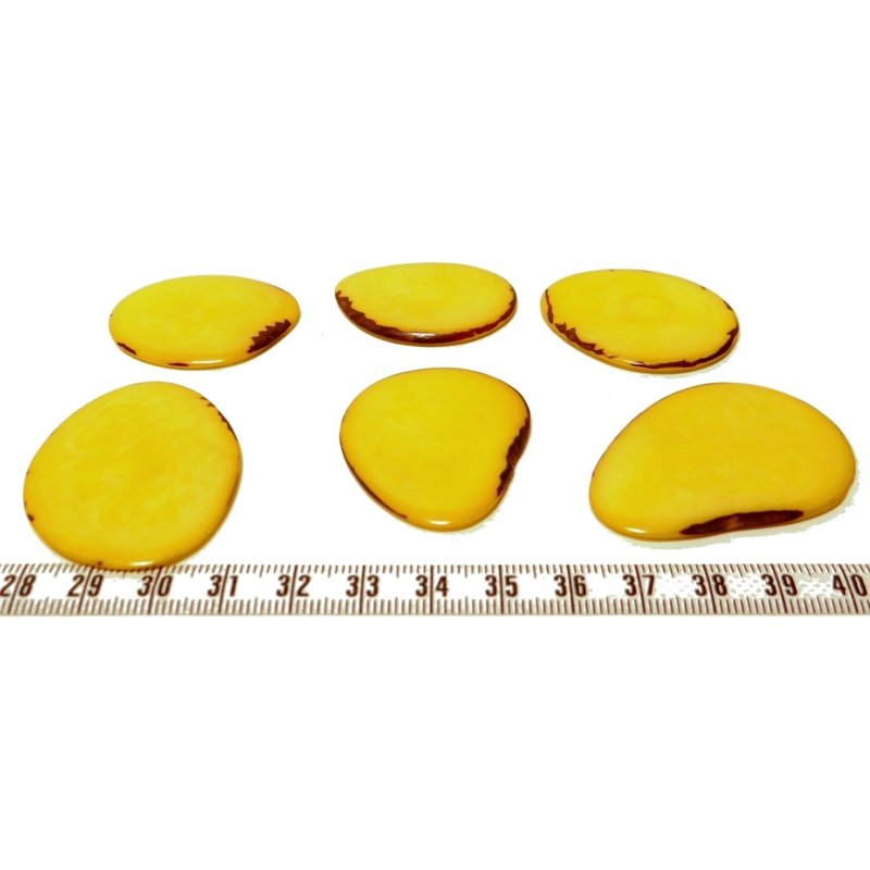 Tagua lame  grande jaune