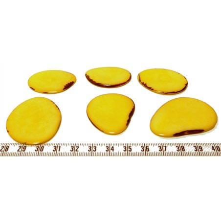 Tagua lame  grande jaune