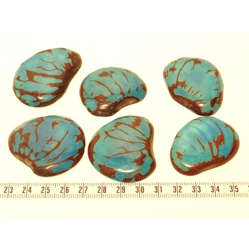 Tagua lame  marbrée grande bleu