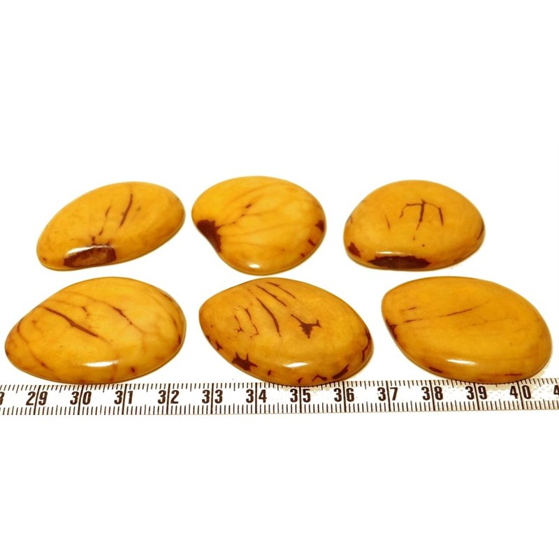 Tagua lame marbrée grande jaune x1