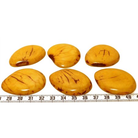 Tagua lame marbrée grande jaune x1