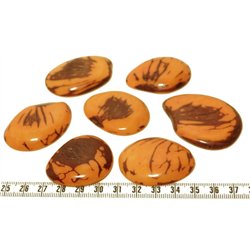 Tagua lame  marbrée grande orange