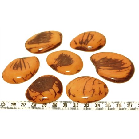 Tagua lame marbrée grande orange x1