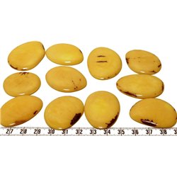 Tagua lame  marbrée  moyenne jaune