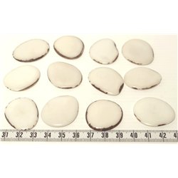 Tagua lame   moyenne blanc