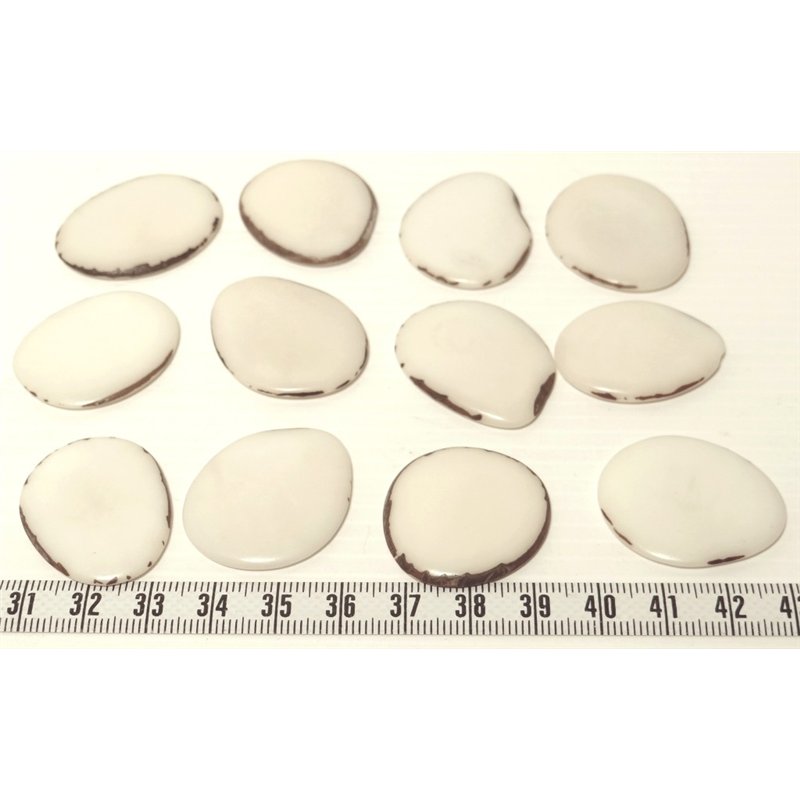 Tagua lame moyenne blanc x1