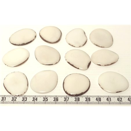 Tagua lame moyenne blanc x1