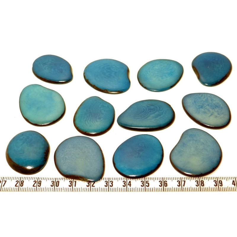 Tagua lame moyenne bleu x1