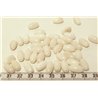 Tagua olive 12mm blanc