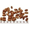 Tagua olive 12mm marron