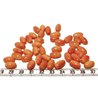 Tagua olive 12mm orange