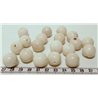 Tagua perle 15mm blanc