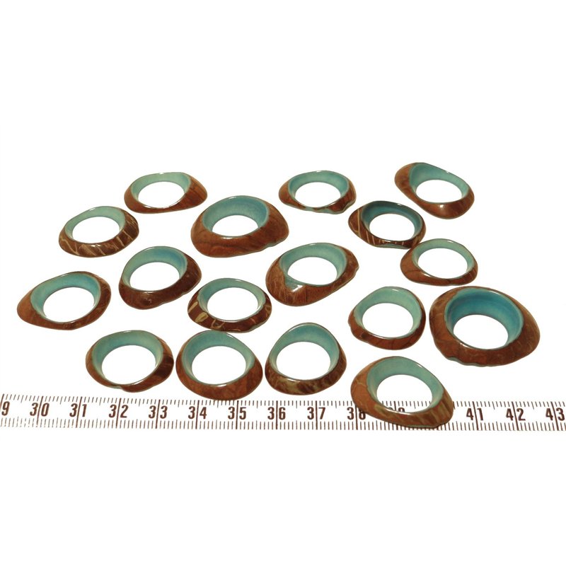 Tagua donut  petit bleu