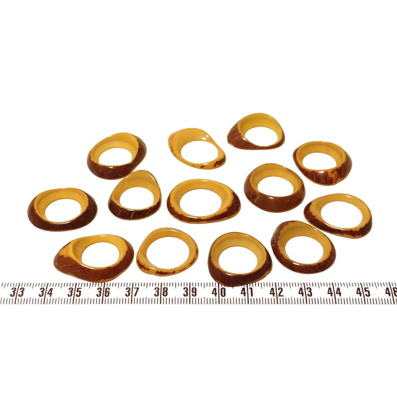 Tagua donut petit bleu x1