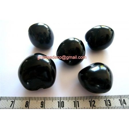 Noix de Bancoule noire