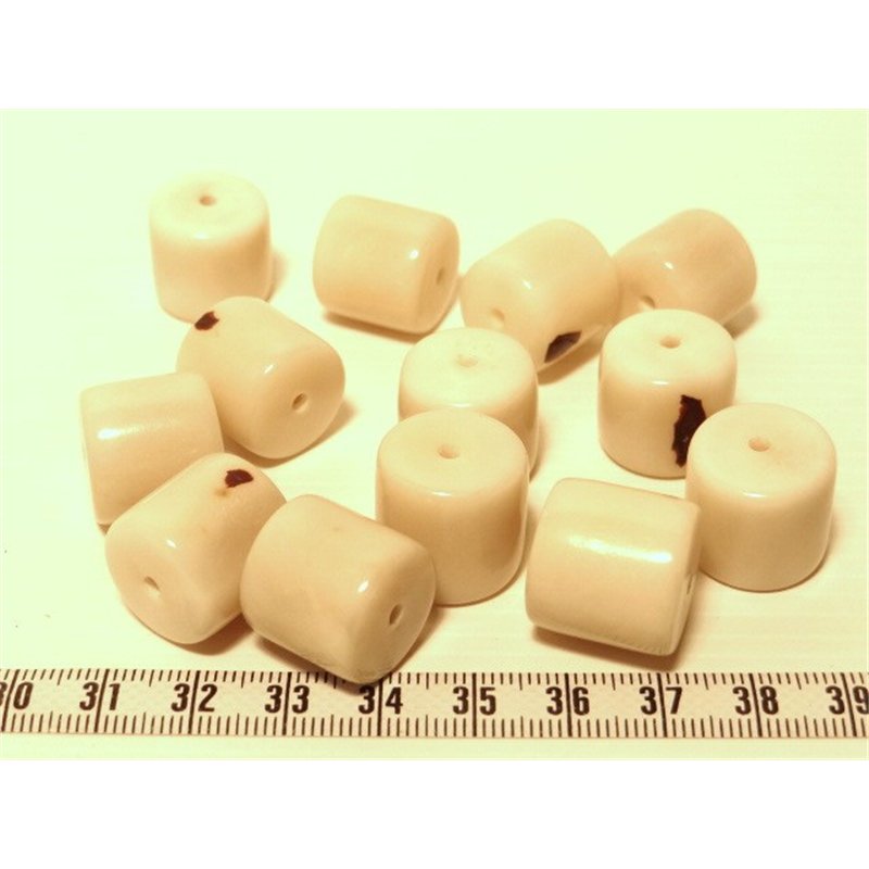 Tagua cylindre blanc x1