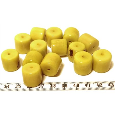 Tagua cylindre vert x1