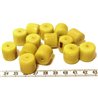 Tagua cylindre vert x1