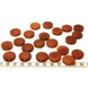 Tagua disque 19mm marron x1