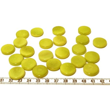 Tagua disque 19mm vert