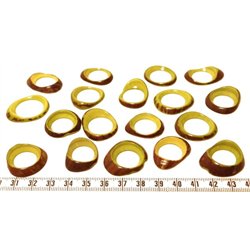 Tagua donut  petit vert