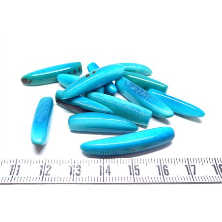 Tagua frite bleu