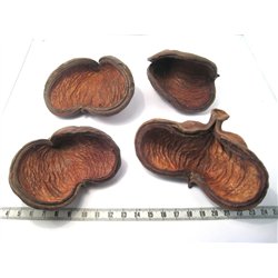 Olivier de Java fruit