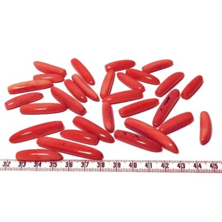 Tagua frite rouge