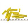 Tagua frite vert
